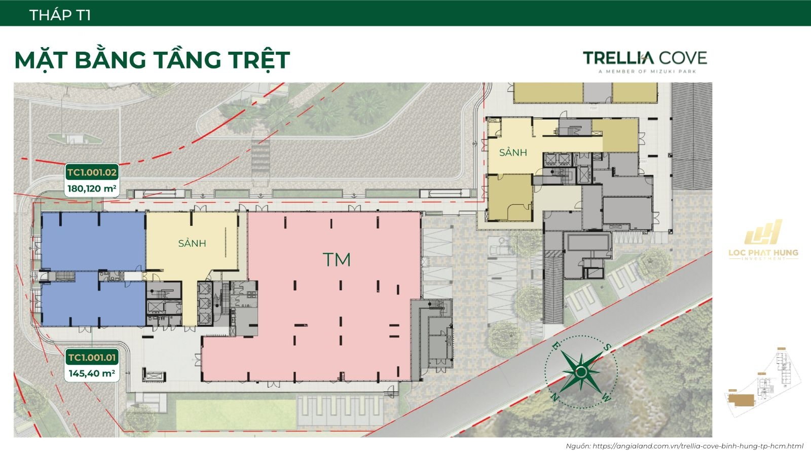 Mặt Bằng Chi Tiết Tháp T1 Dự Án Căn Hộ Trellia Cove Mizuki Park | Tầng