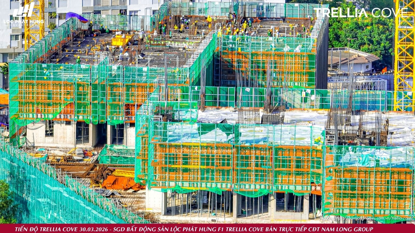 Các dãy nhà phố Trellia Cove đã cất nóc phần thô Các dãy nhà phố Trellia Cove đã cất nóc phần thô