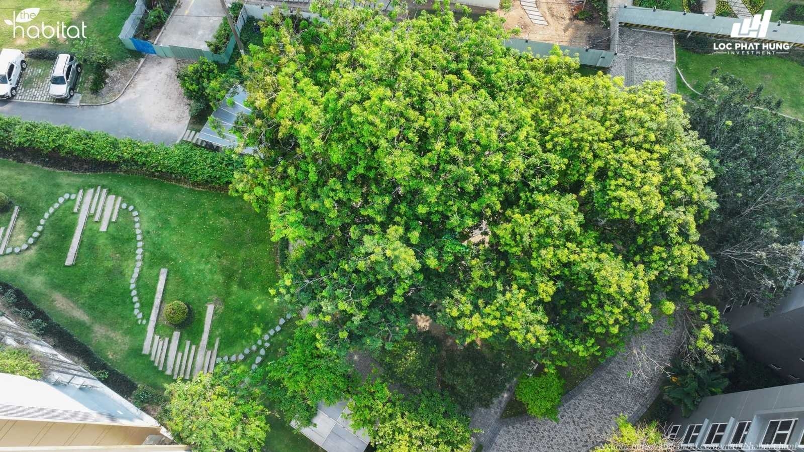 Công viên nội khu The Habitat Bình Dương